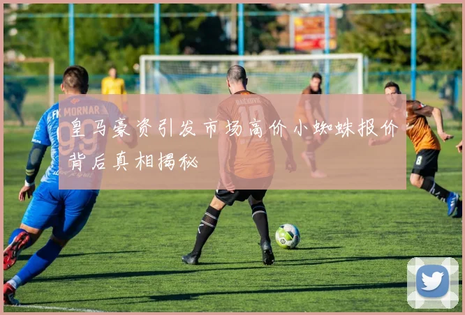 皇马豪资引发市场高价小蜘蛛报价背后真相揭秘